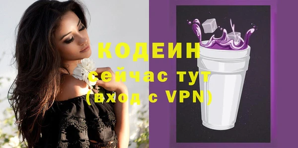 сатива Сатка