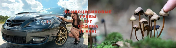 меф Заволжск