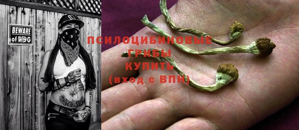 тгк Заводоуковск