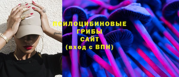 тгк Заводоуковск