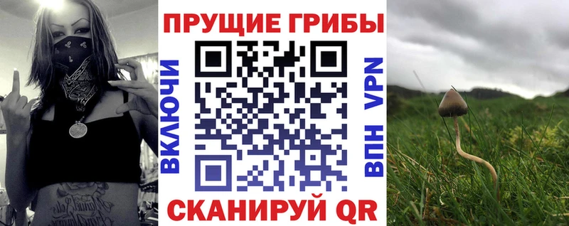 Галлюциногенные грибы Psilocybe Купить закладки Дегтярск